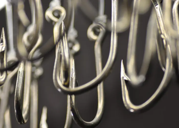 A De Lolo Con Encanto *